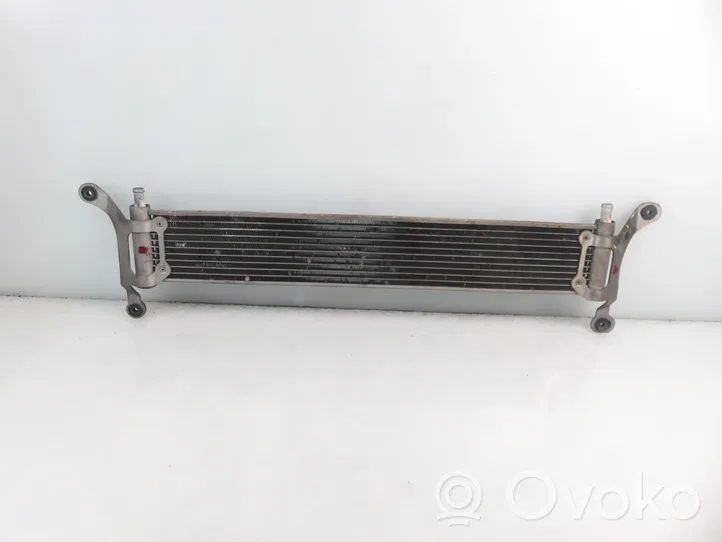 Volkswagen Touareg I Dzesēšanas šķidruma radiators 