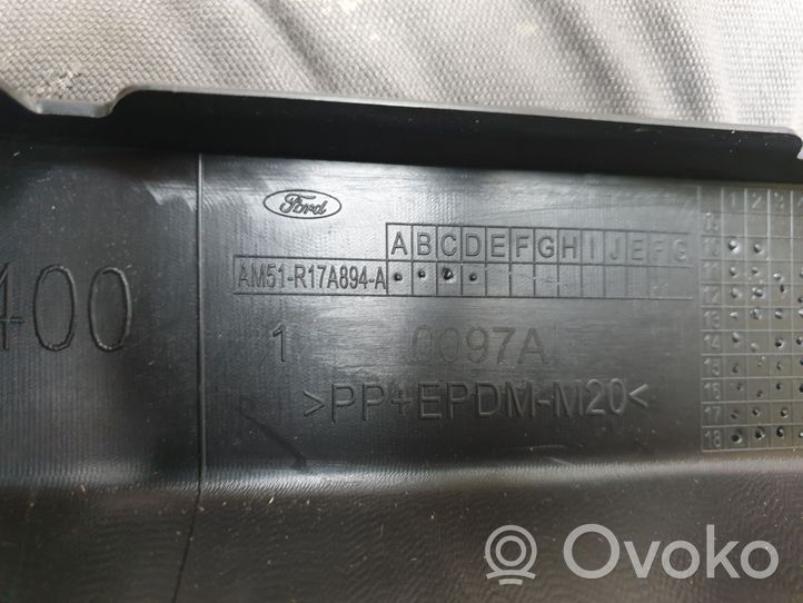 Ford C-MAX II Modanatura separatore del paraurti anteriore AM51R17A894A