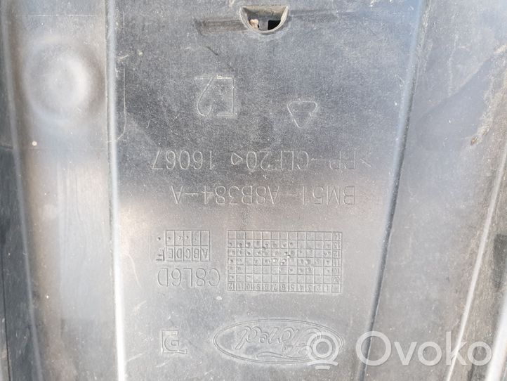 Ford Focus Variklio dugno apsauga BM51A8B384A