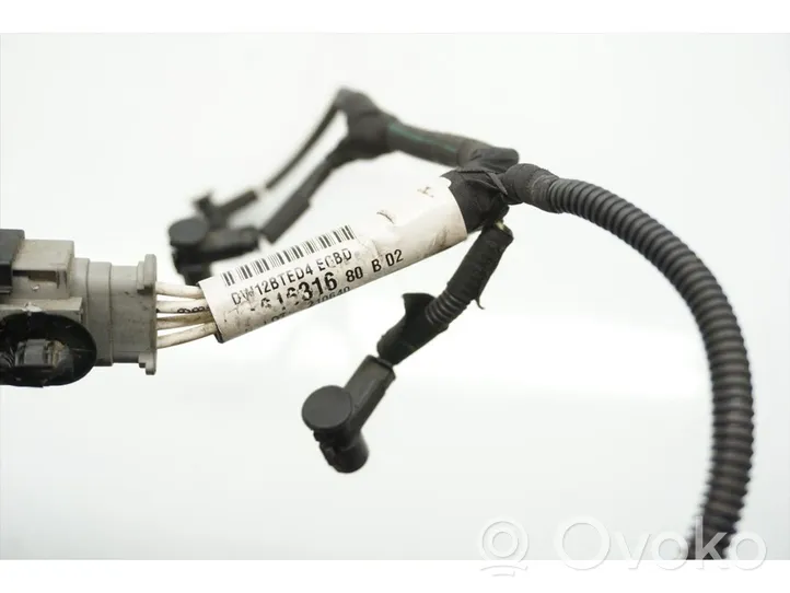 Peugeot 4007 Cables de la bujía incandescente 9661631680