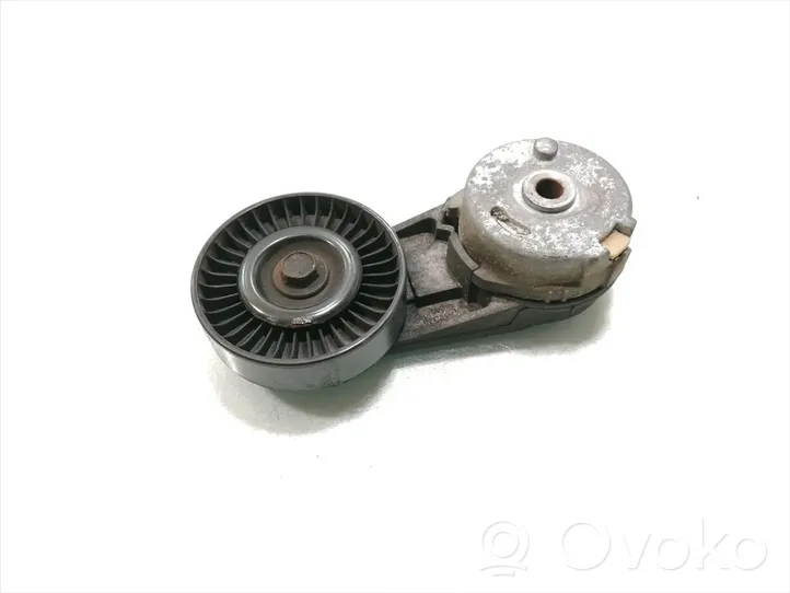 Opel Signum Tensor de la correa del alternador 24430296