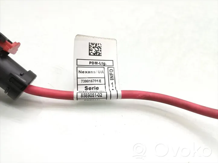 Mini One - Cooper F56 F55 Positive cable (battery) 8589051