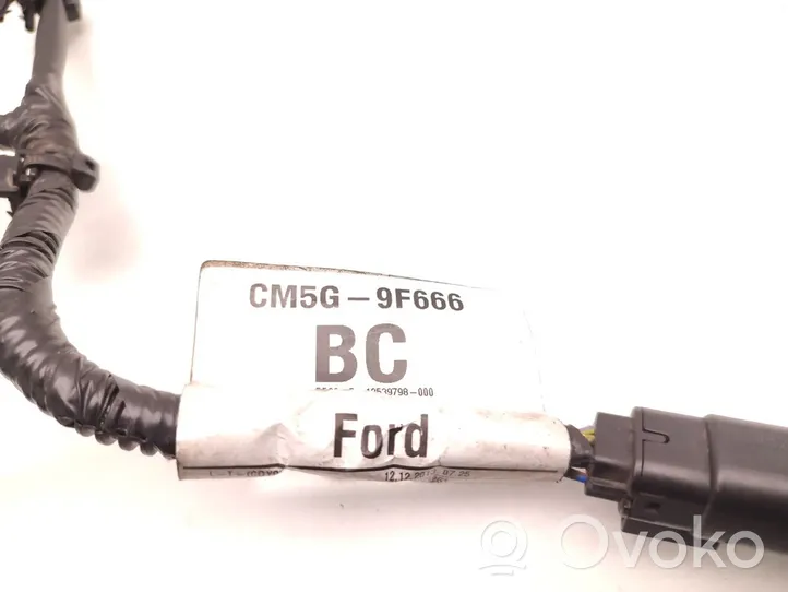 Ford Fiesta Degalų purkštukų (forsunkių) laidai CM5G-9F666-BC