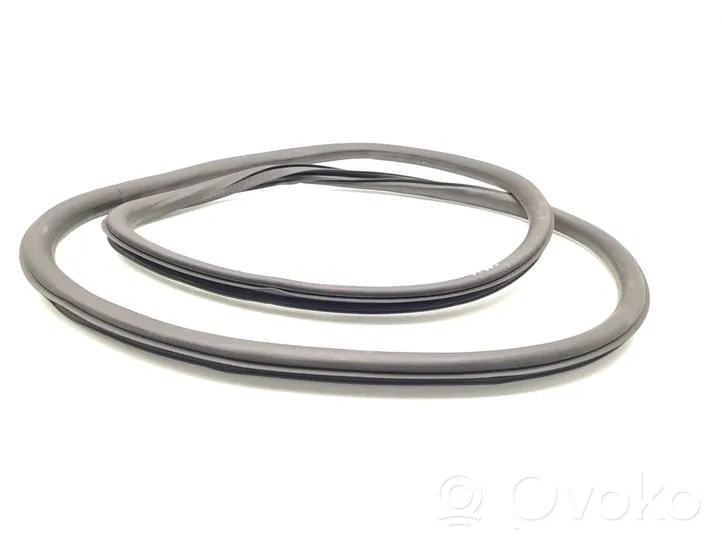 Opel Insignia A Rubber seal front door (on door) 