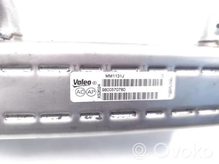 Citroen Relay III Valvola di raffreddamento EGR 9800570780