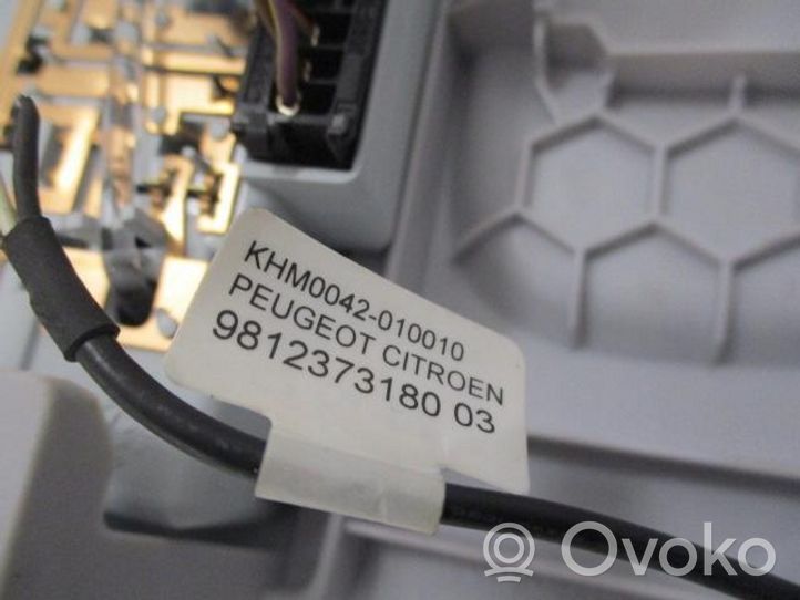 Opel Crossland X Panel oświetlenia wnętrza kabiny 39194309