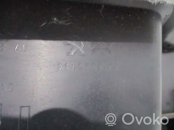 Peugeot 3008 II Rivestimento pannello laterale del bagagliaio/baule 9812509477