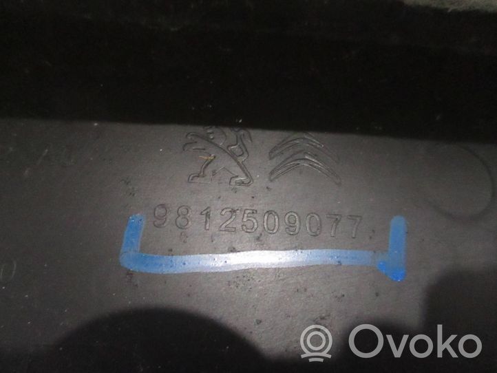 Peugeot 3008 II Rivestimento pannello laterale del bagagliaio/baule 9812500077