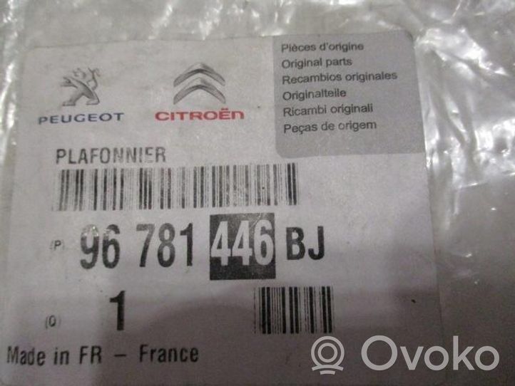 Citroen C4 II Kattokonsolin valaisinyksikön koristelista 96781446BJ