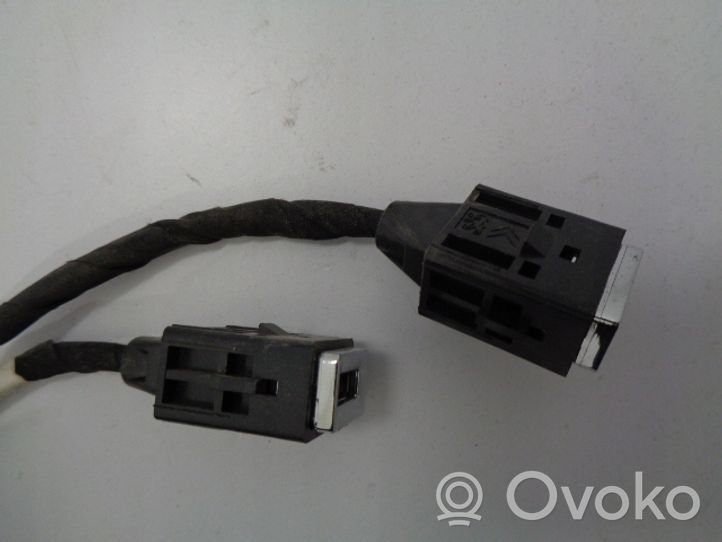 Citroen C4 Grand Picasso Connecteur/prise USB 9806059680