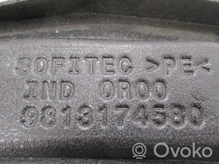 Citroen C3 Spārna putuplasta daļa 9813174580