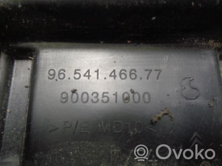 Citroen C4 Grand Picasso Protection de seuil de coffre 900351000