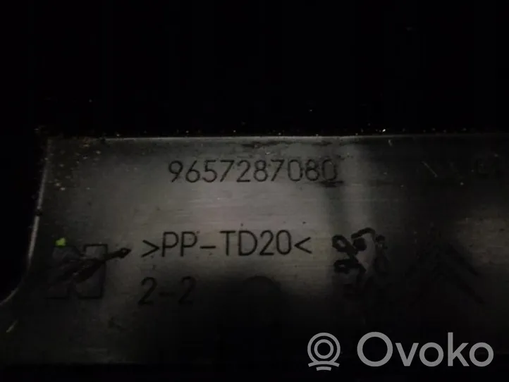 Peugeot 207 Coperchio scatola dei fusibili 9657287180