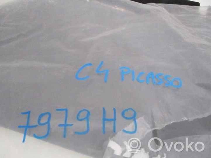 Citroen C4 I Picasso Aislante calor/ruido del capó/tapa del motor 7979H9