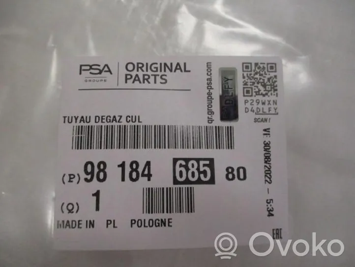 Opel Zafira Life Tuyau de liquide de refroidissement moteur 9818468580