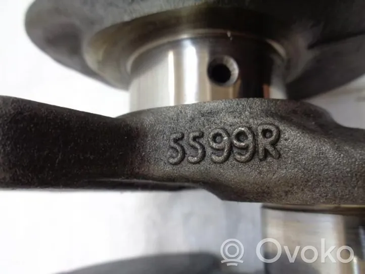 Opel Vivaro Коленчатый вал 5599R