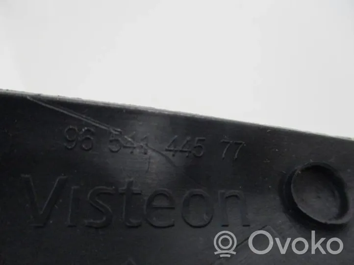 Citroen C4 I Picasso Copertura in plastica per specchietti retrovisori esterni 9678377780