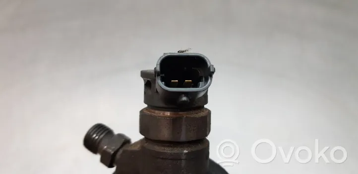 Renault Kangoo II Injecteur de carburant H8201453073