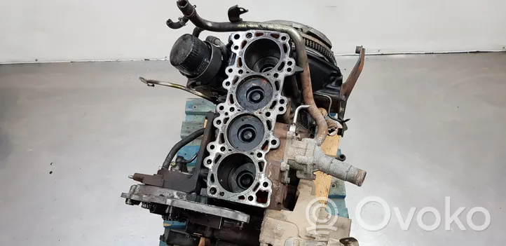 Nissan Pathfinder R51 Blocco motore YD25