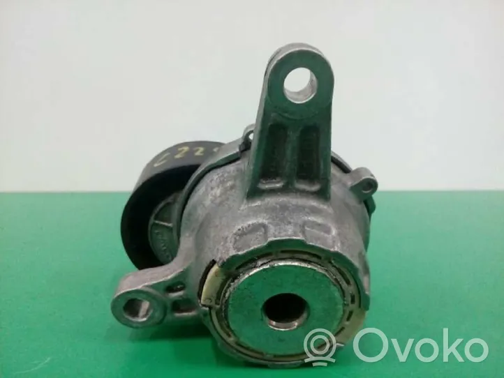 Audi Q3 8U Tendicinghia generatore/alternatore 04L903315