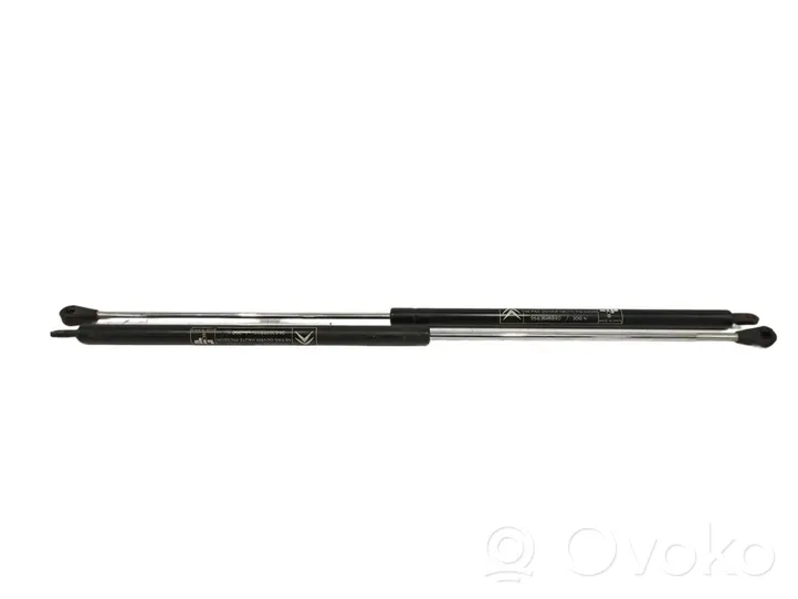 Citroen BX Tailgate/trunk strut/damper 9563598880