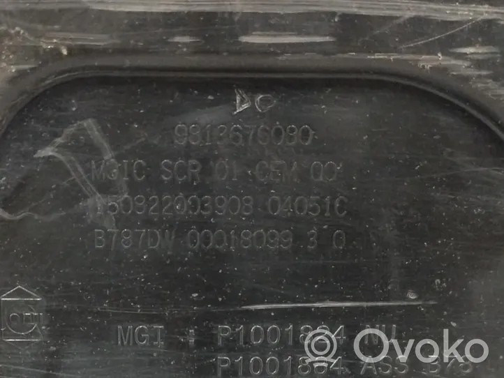 Citroen C4 II Picasso Kita variklio detalė 9813676080