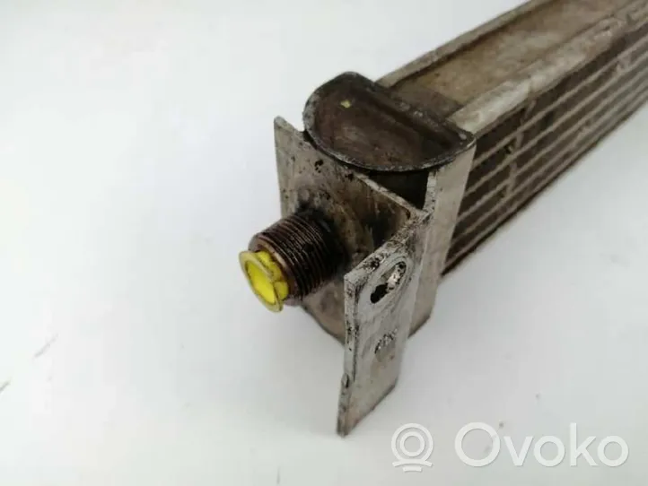 Land Rover Range Rover P38A Radiateur d'huile moteur 