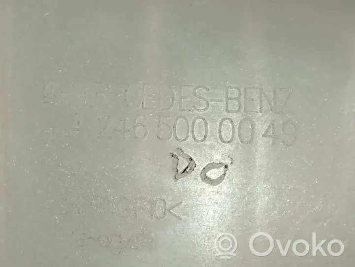 Infiniti QX30 Serbatoio di compensazione del liquido refrigerante/vaschetta A2465000049
