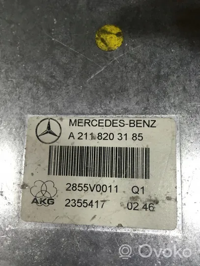 Mercedes-Benz E W211 Modulo di controllo comandi vocali A2118203185