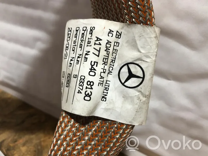 Mercedes-Benz A W177 Câble de batterie positif A1775409130