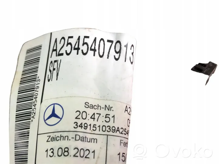 Mercedes-Benz GLC C254 Parking sensor (PDC) wiring loom A2545407913