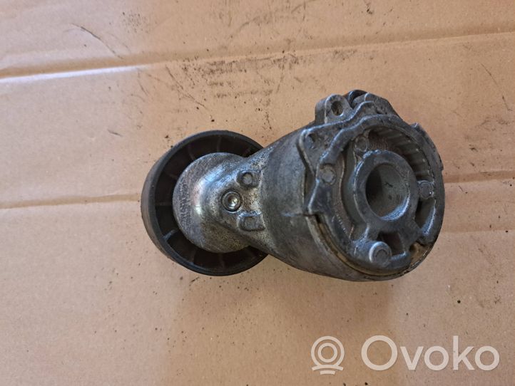 Opel Corsa D Napinacz paska alternatora TF067H