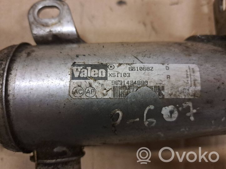 Citroen C5 Refroidisseur de vanne EGR 9631424880