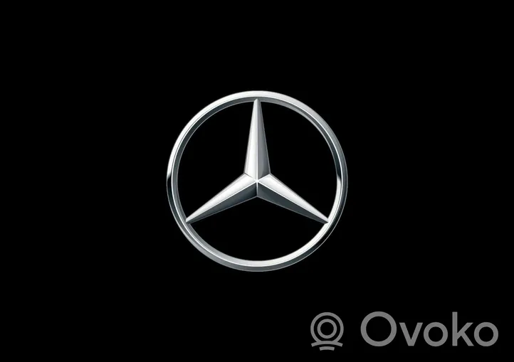 Mercedes-Benz E AMG W213 Duslintuvo antgalis A2134902407