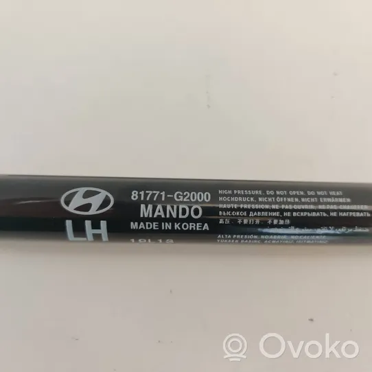 Hyundai Ioniq Amortizatorius galinio dangčio 81771G2000