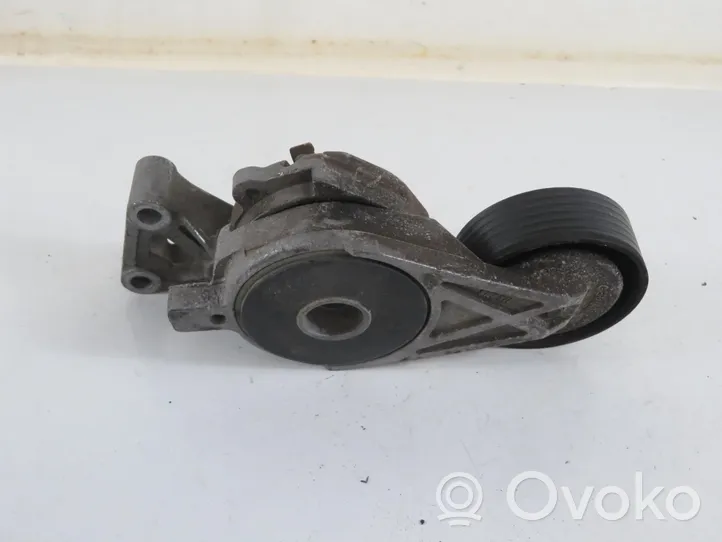 Volkswagen New Beetle Generator/alternator belt tensioner 