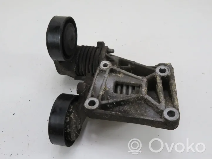 Volvo S40 Napinacz paska alternatora 