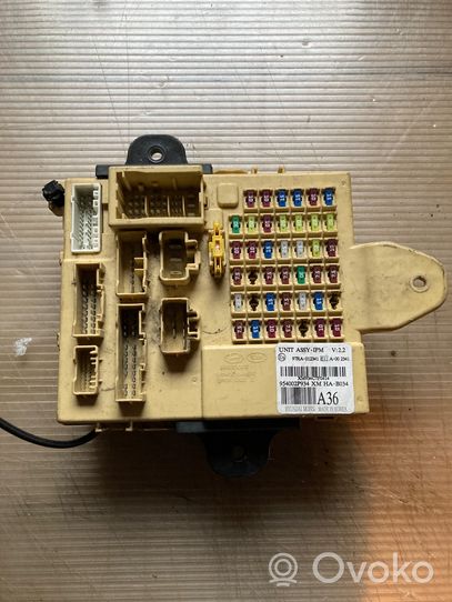 KIA Sorento Fuse module 954002P934