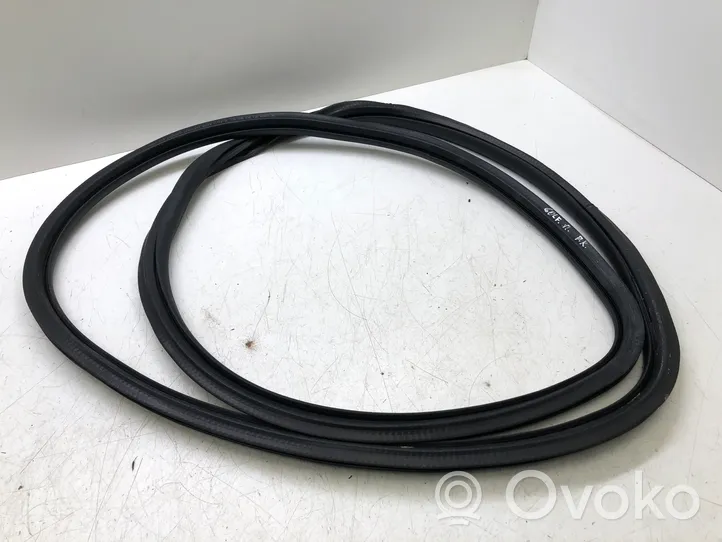 Volkswagen Golf VI Front door rubber seal 