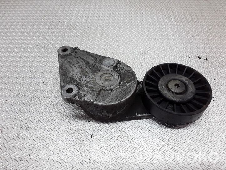 Peugeot 806 Tendicinghia generatore/alternatore 