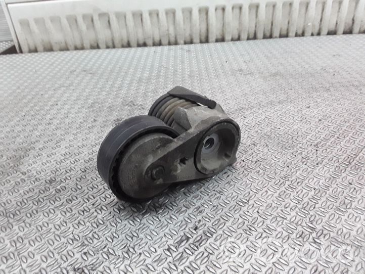 Volvo S40 Napinacz paska alternatora F23907102