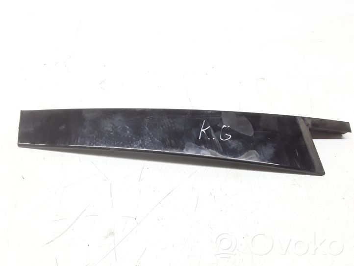 Mercedes-Benz C W204 Rivestimento portiera posteriore (modanatura) A2046900387