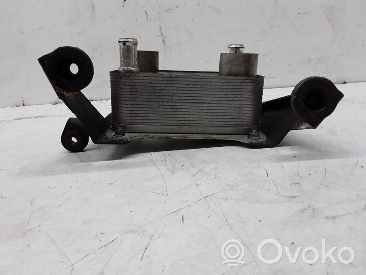 Volkswagen PASSAT B6 Transmission/gearbox oil cooler 4E0317021H