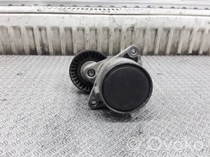 Mercedes-Benz C W203 Tendicinghia generatore/alternatore F231071