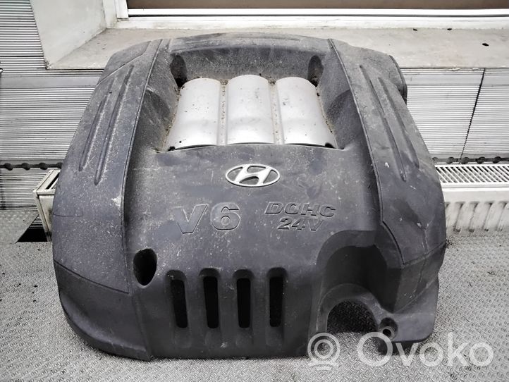 Hyundai Santa Fe Copri motore (rivestimento) 