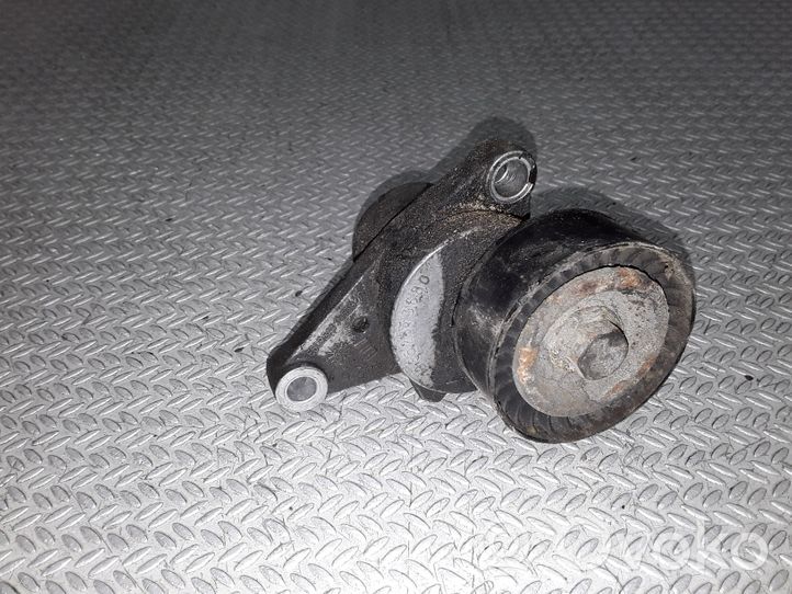 Citroen C2 Diržo įtempėjas 9652073680