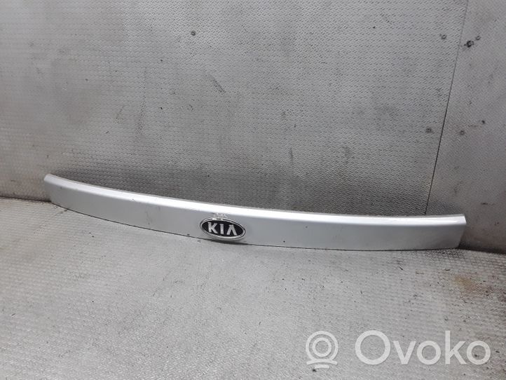 KIA Carens II Galinio dangčio numerio apšvietimo juosta 873111D000