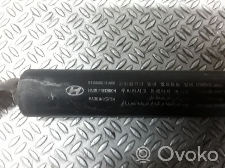 Hyundai Terracan Takaluukun tuen kaasujousi 8115060H1000