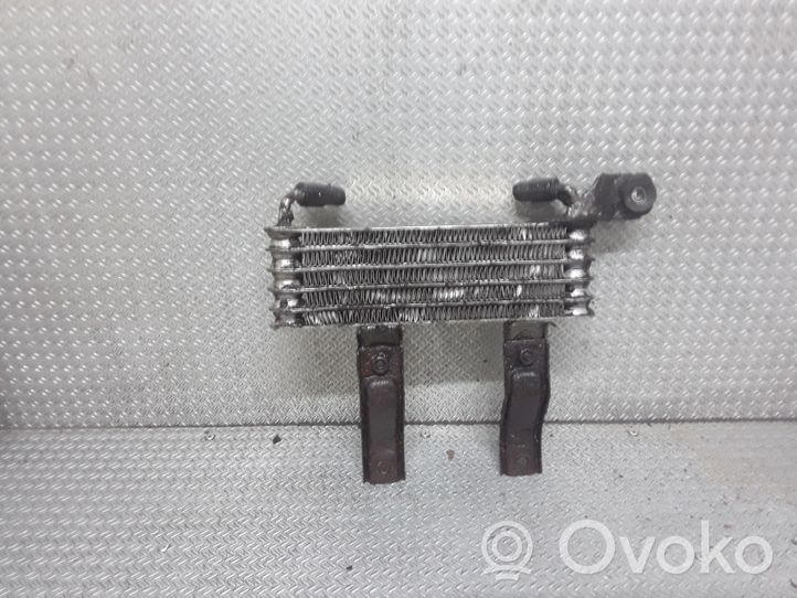 Hyundai Santa Fe Radiateur de direction assistée 2546026510