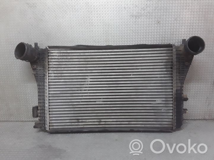 Seat Toledo III (5P) Chłodnica powietrza doładowującego / Intercooler 